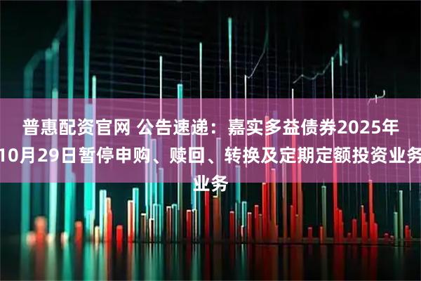 普惠配资官网 公告速递：嘉实多益债券2025年10月29日暂停申购、赎回、转换及定期定额投资业务