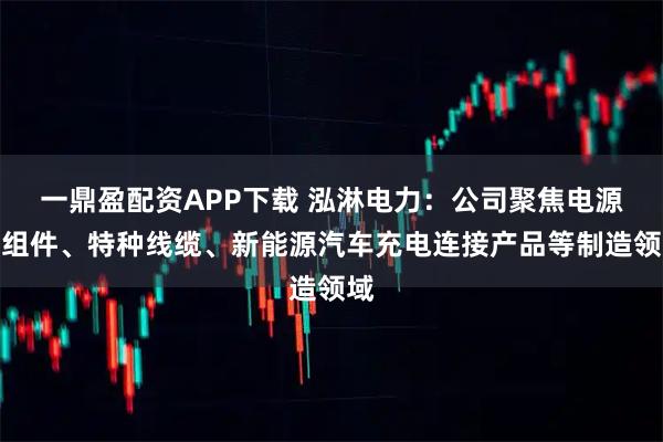 一鼎盈配资APP下载 泓淋电力：公司聚焦电源线组件、特种线缆、新能源汽车充电连接产品等制造领域
